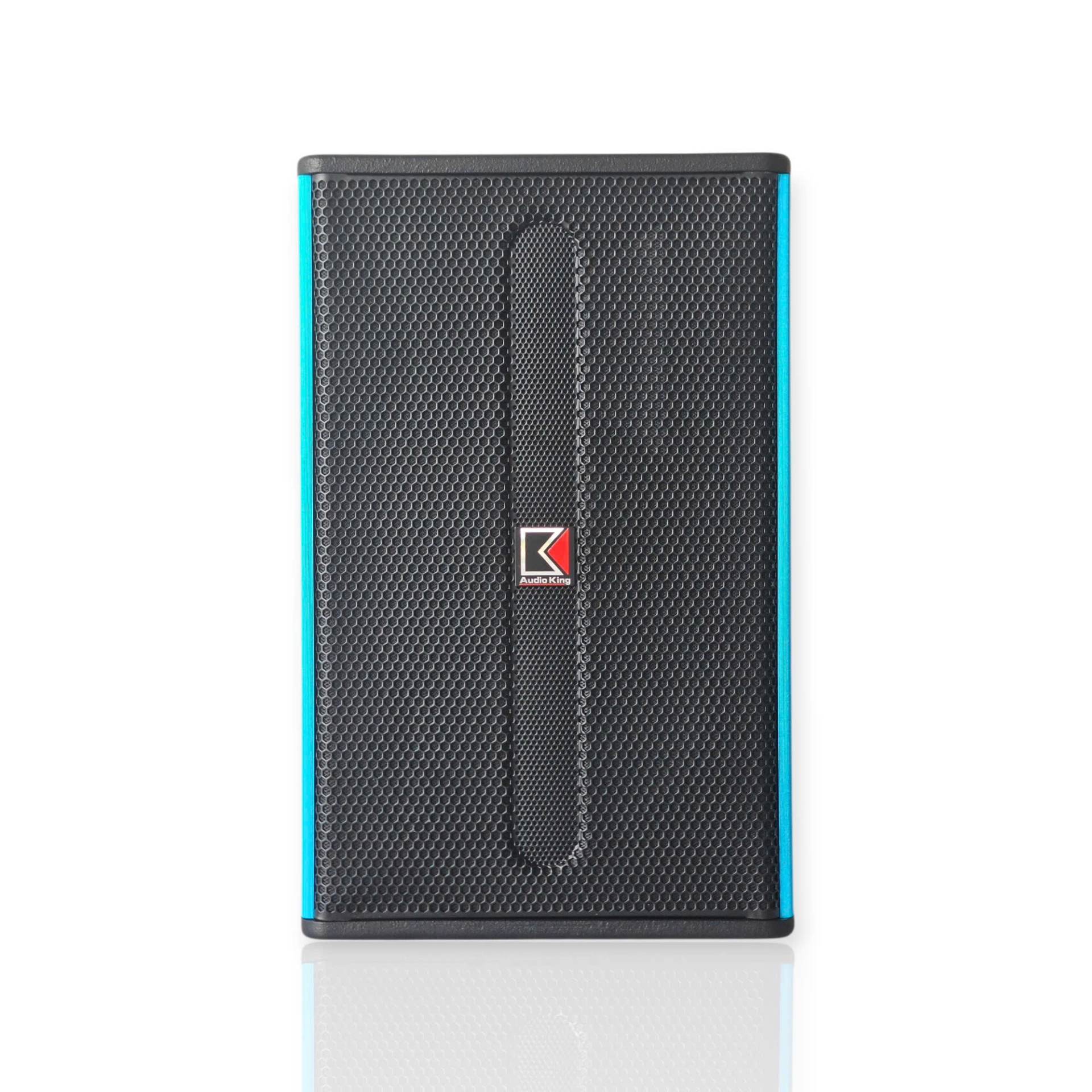 FULL-RANGE AUDIOKING Q-12