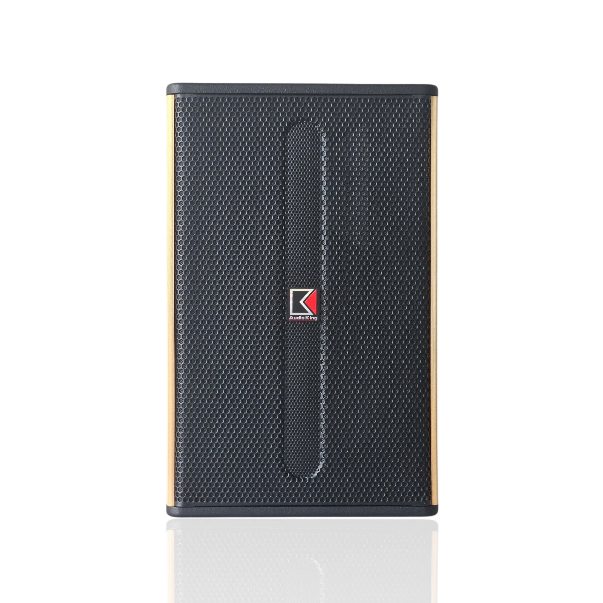 FULL-RANGE AUDIOKING Q-12