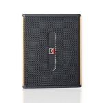 Loa Siêu Trầm Audioking W-15A